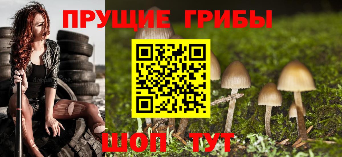 Галлюциногенные грибы Psilocybine cubensis  Псилоцибиновые грибы Cubensis  Вход с VPN  Серпухов 