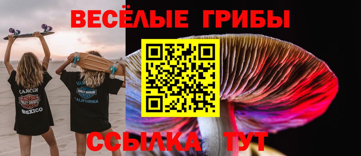 Галлюциногенные грибы Magic Shrooms Серпухов